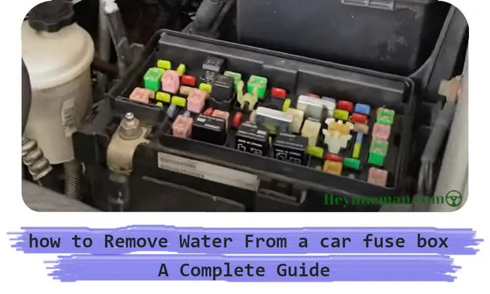 Water in Car Fuse Box